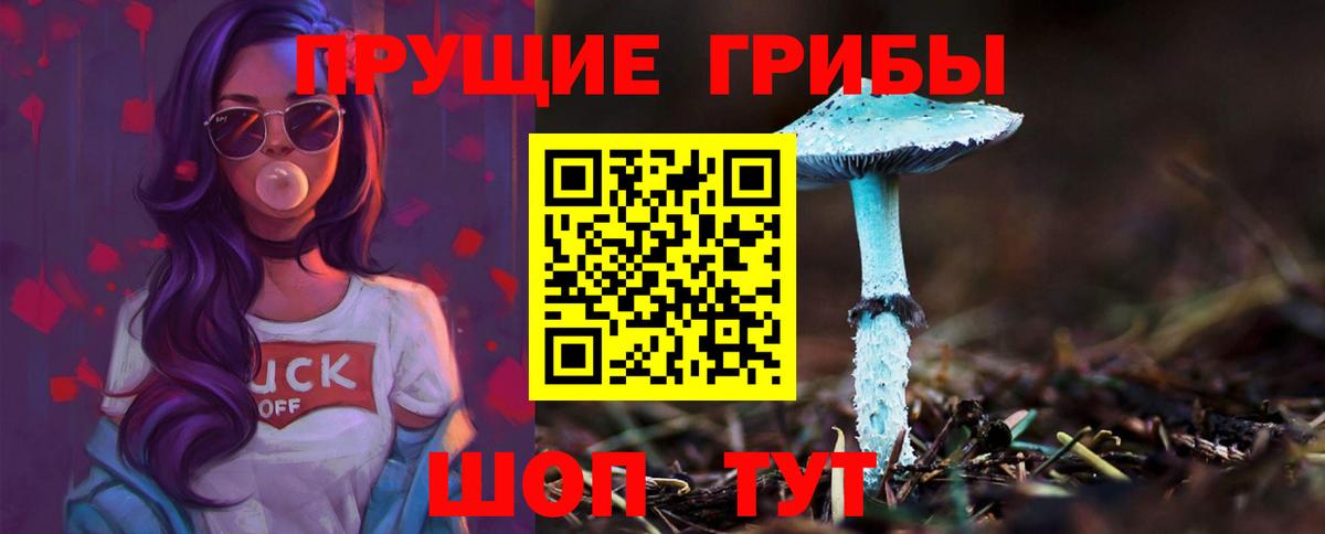Галлюциногенные грибы мухоморы Моздок